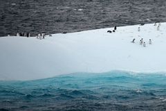 04C Penguins On An Iceberg At The Neptunes Bellows Narrow Opening To Deception Island On Quark Expeditions Antarctica Cruise Ship.jpg